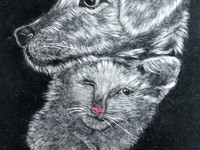 собака  с кошкой