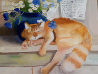 Котики