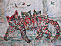 Котики