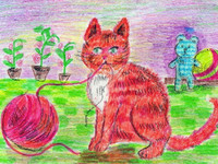 Котики