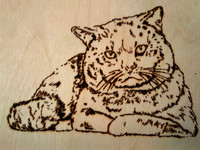 Кошка
