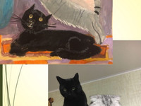 Кот