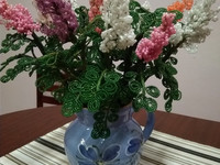 Сирень