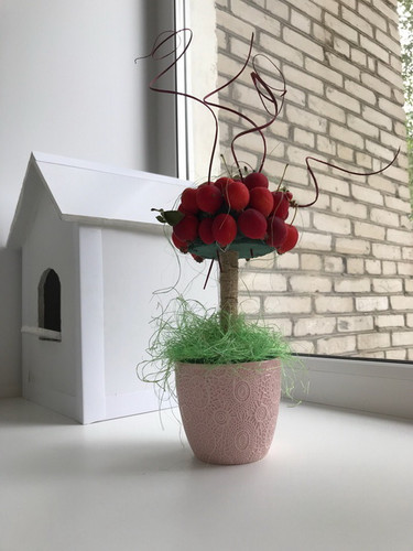 Яблочное дерево