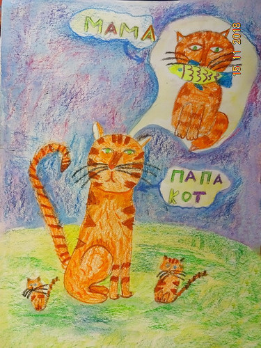кошки
