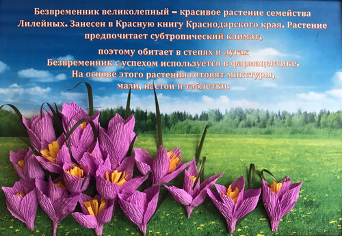 Цветы Кавказа