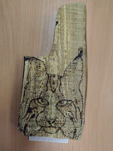 Рысь