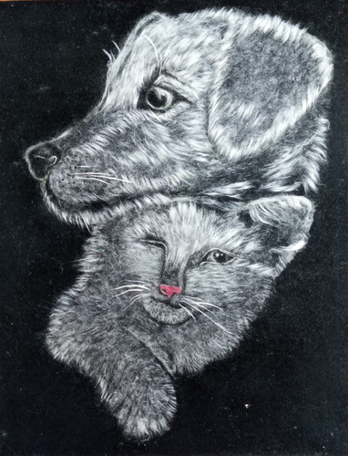 собака  с кошкой