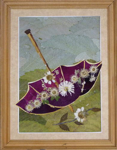 Флористика