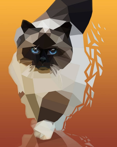 кот