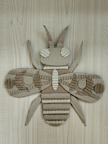 Жук