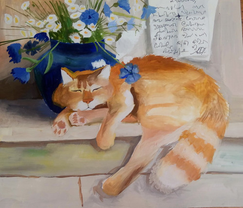 Котики
