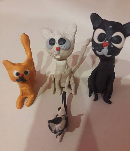 Котики