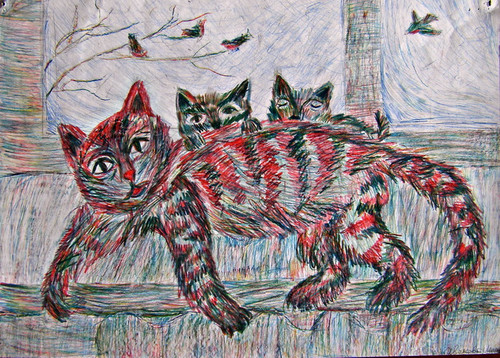 Котики