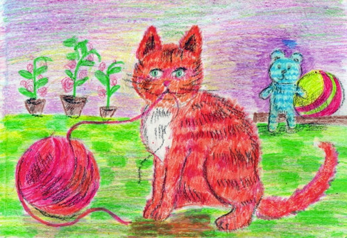 Котики