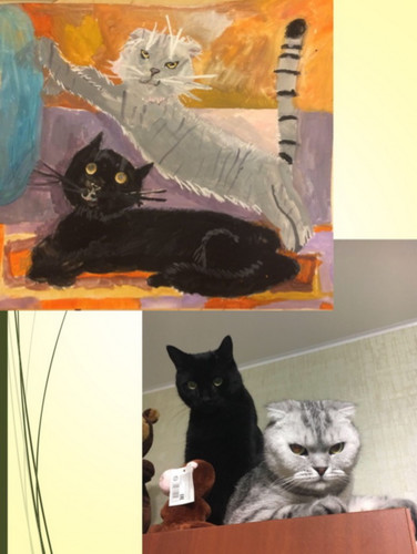 Кот