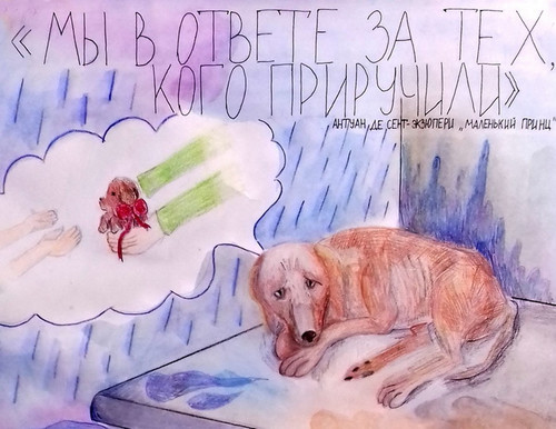 Не бросайте своих питомцев