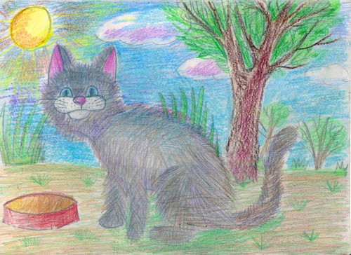 Котики