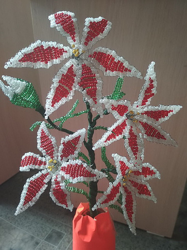 Орхидея