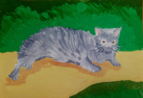 Котики